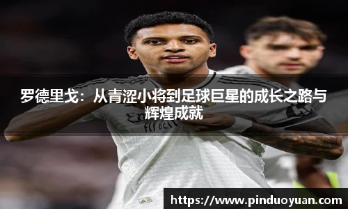 k1体育官方网站