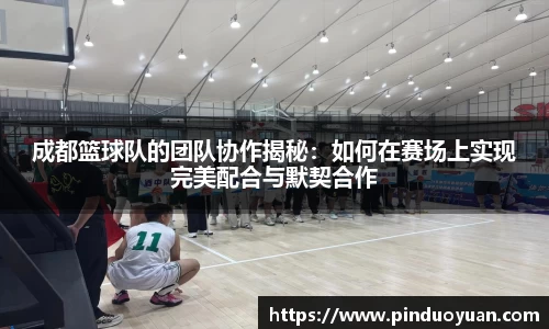 k1体育官方网站
