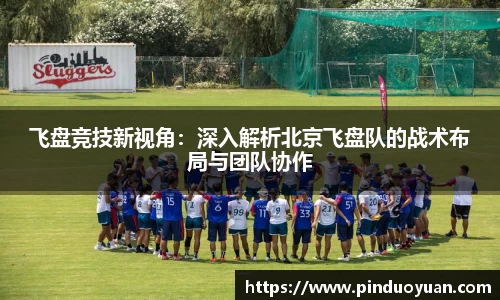 飞盘竞技新视角：深入解析北京飞盘队的战术布局与团队协作